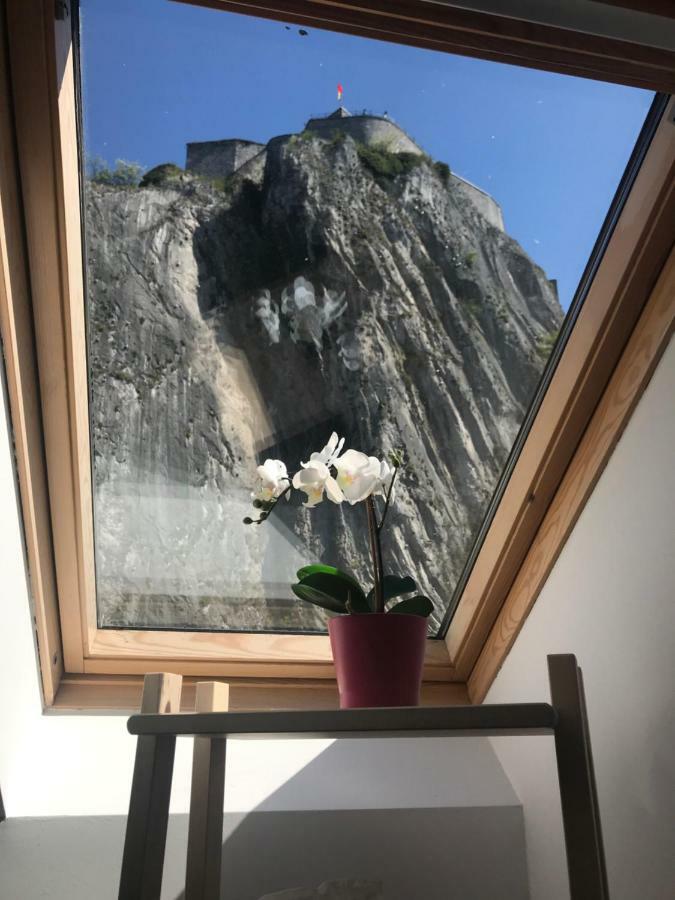 Le Saxo Cuivre Apartment Dinant Ngoại thất bức ảnh